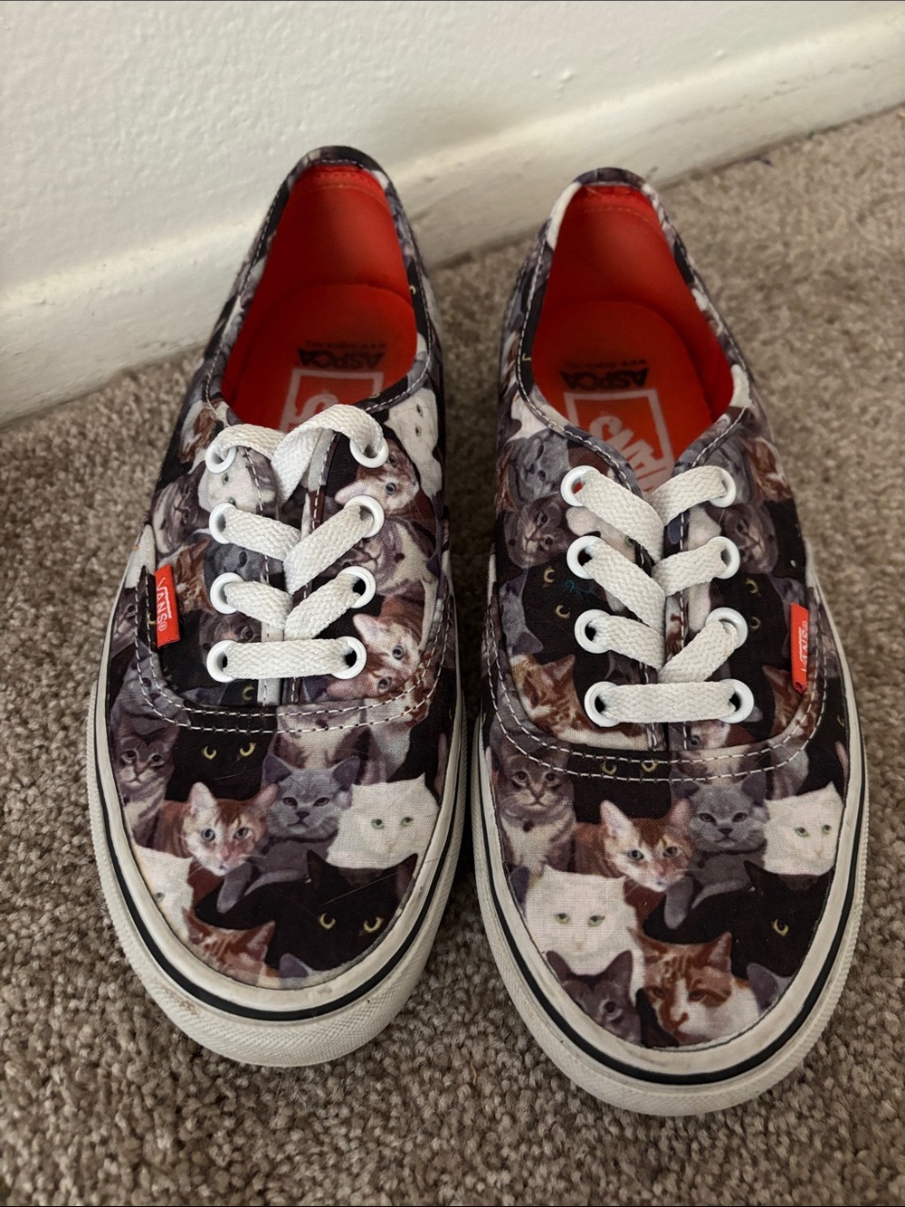 Vans Low Top Sneakers with Cat Print